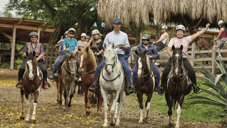 Entradas PANACA – vista 2