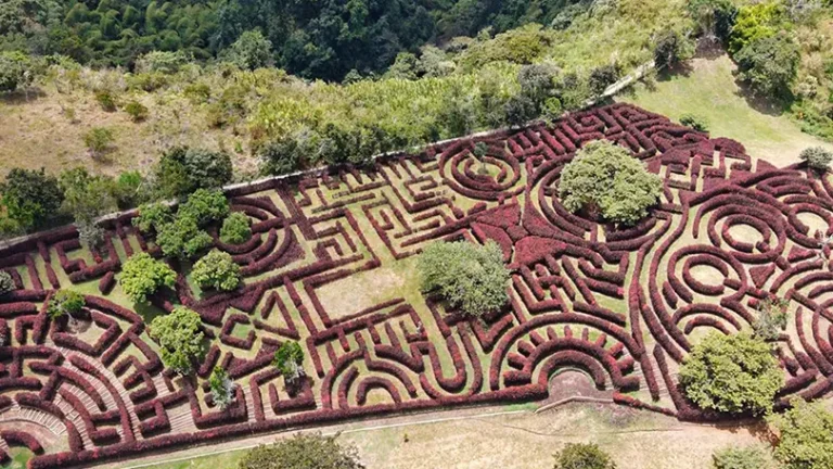 Entradas Laberinto Mil Caminos