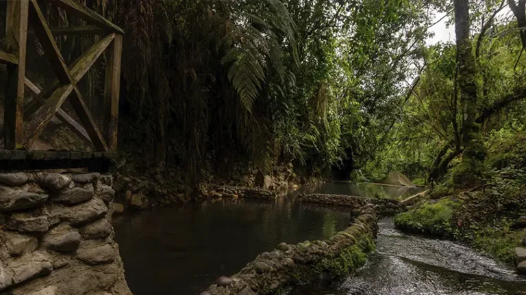 Pasadía Termales San Vicente