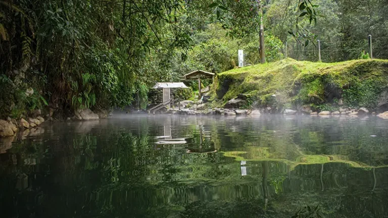 Ukumari + Termales de Santa Rosa