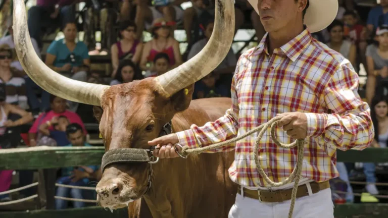 Pasadía PANACA – vista 2