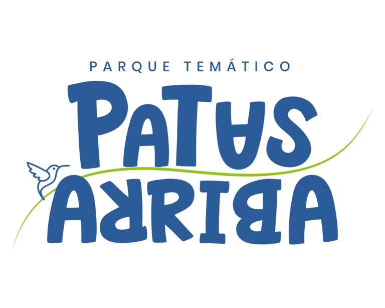 BOLETAS QINTI Patas Arriba